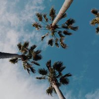 Jon (@jonjonlink) 's Twitter Profile