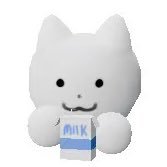 TamaNoko (@dullnoko) Twitter profile photo