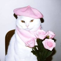 Sencak✨️🪻 (@sencakpage) 's Twitter Profile Photo Sencak✨️🪻 (@sencakpage) 's Twitter Profile Photo