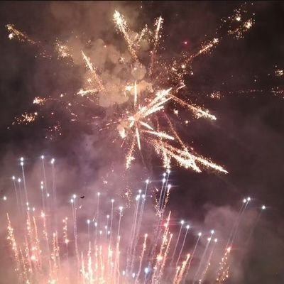 HarukiZLZ's profile picture. One for ordinary people