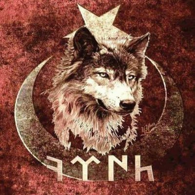 turkundiyari's profile picture. Milliyetçi bir genç…