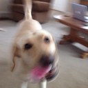 Sonja Kline - @klineso - Twitter