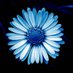 Dorothee (@dorotheenft) Twitter profile photo Dorothee (@dorotheenft) Twitter profile photo