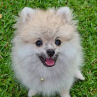 Ormch6 (@ormch657521) 's Twitter Profile