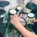 è±ã»éšé³ãã©ããŒSATð¥ (@satdrums) Twitter profile photo è±ã»éšé³ãã©ããŒSATð¥ (@satdrums) Twitter profile photo