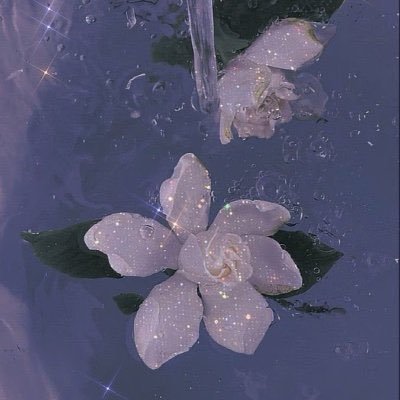 ⟡さんのプロフィール画像