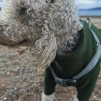 Dr Mark Gillespie (@markgilles5627) 's Twitter Profile Photo Dr Mark Gillespie (@markgilles5627) 's Twitter Profile Photo