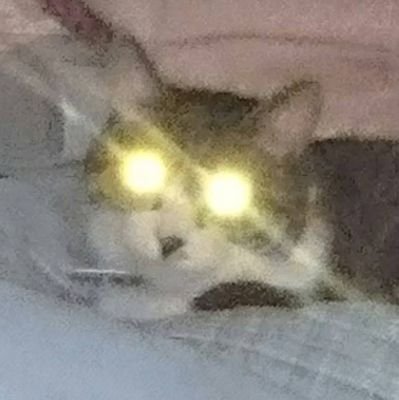 clowd_szok's profile picture. 🌸🗻🌙🍀🍑🍈♡🎹🍵🦐🐰🏍️💛🎋⚔🌊🦦🔧💍
能登→しぞ～か県民　勇者ノトさんで痛車してます