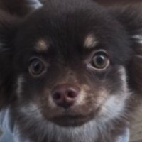 添 (@lnx_x3b) 's Twitter Profile Photo 添 (@lnx_x3b) 's Twitter Profile Photo