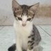Apipah arin hasanah (@apipaharin26669) Twitter profile photo Apipah arin hasanah (@apipaharin26669) Twitter profile photo