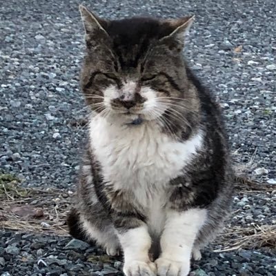 ナンパで多分100即くらい。途中から数えられなくなった。今では100即は珍しくも何ともない。ほぼ引退してますが、思った事を発信して行きます。