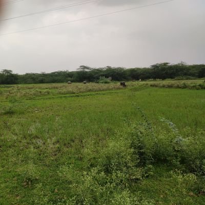 LoveIndia91's profile picture. Exposing Corruption & Injustice for everyone