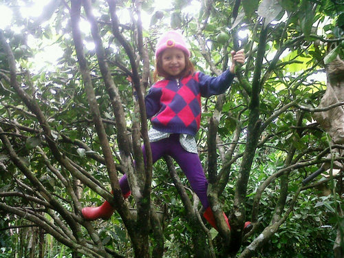 Marlon_Torres_M's profile picture. Amigable, sincero y EMELEXISTA de Corazón