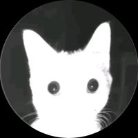 مبادل غزة 🏳️‍⚧️🏳️‍🌈 (@black_2007_1_22) Twitter profile photo