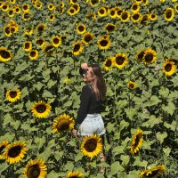 una nube amarilla (@unanubeamarilla) 's Twitter Profile