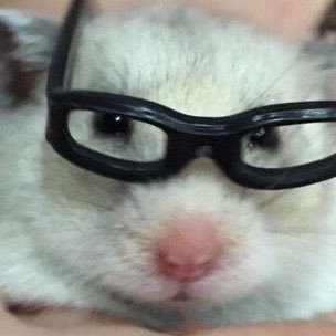 tw2ns's profile picture. 올추뜨눈