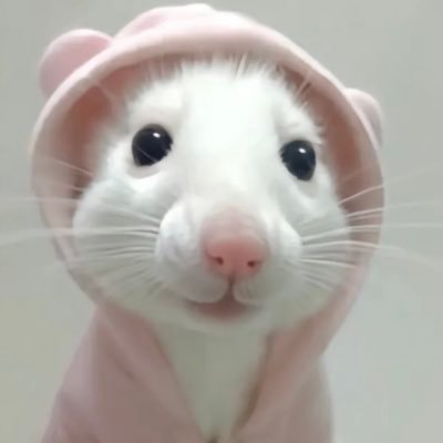 rainnegorg's profile picture. 