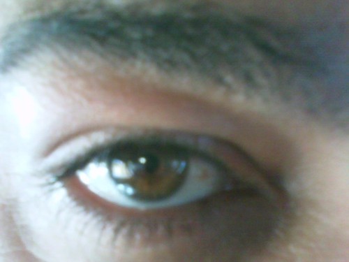 birdahMURDAH's profile picture. Self made