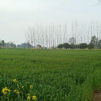 karanjot Singh (@karan_chhetra) 's Twitter Profile