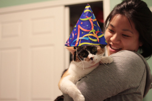 glennisglitters's profile picture. 