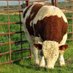 Akenjoki Farm Uganda (@akenjokifarm33) Twitter profile photo Akenjoki Farm Uganda (@akenjokifarm33) Twitter profile photo