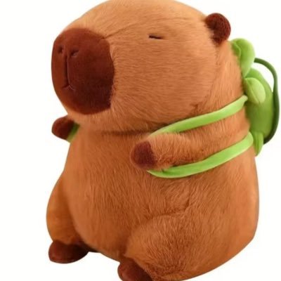 Capibara Felizさんのプロフィール画像