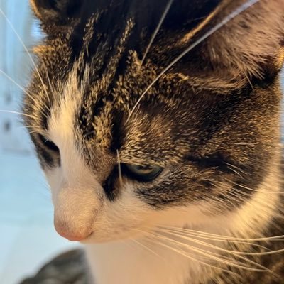 '96/うつ病2y/NF member/サカナクション/山口一郎サン/田中裕介監督/猫 ✱高2の時にフクロウ聴いてから陸にあがれない🐟一郎さんコーデは憧憬と尊敬の表現 無言フォロー歓迎