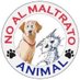 Nancy V. Blanco R.💚💚👩✈️👨✈️ (@maripositade) Twitter profile photo Nancy V. Blanco R.💚💚👩✈️👨✈️ (@maripositade) Twitter profile photo