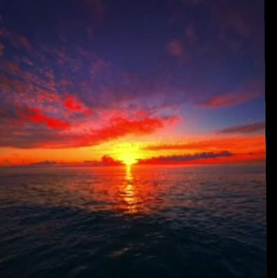 Marion110320281's profile picture. 