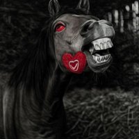 Koń Omdleusz (@kon_omdleusz) 's Twitter Profile