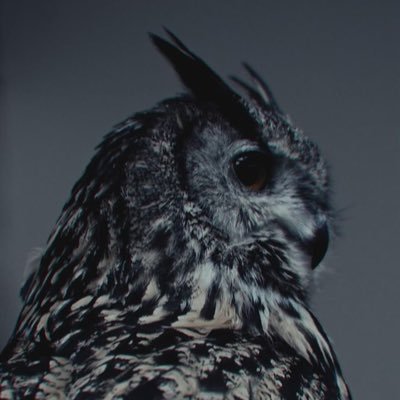 tangoopositando's profile picture. En este lugar se alumbra la luz que ha de ser…                             XLII