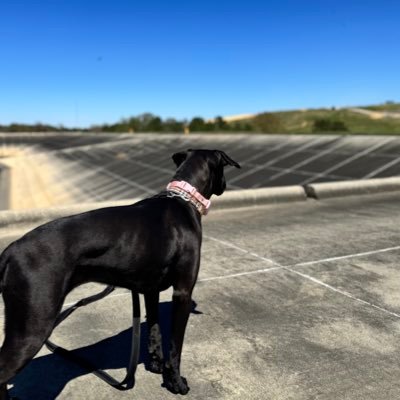 ConcernedCtzn99's profile picture. 