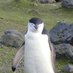 juanlu🐧 (@mellamanpota) Twitter profile photo juanlu🐧 (@mellamanpota) Twitter profile photo