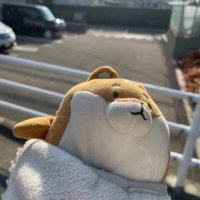 えびふらい (@eeeebfri) 's Twitter Profile