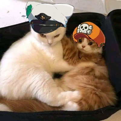 Akame6246's profile picture. 