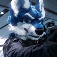 Vald (@vald_wolf) 's Twitter Profile