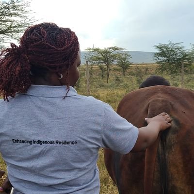 Advocate Indigenous Peoples Affairs |CEO:Nkera E Savannah
|Quality Education-💯 Transition
|Good Governance-Represantion
|Minority is OK Marginalization No