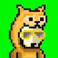 pipin.sol (@shinydonger97) 's Twitter Profile
