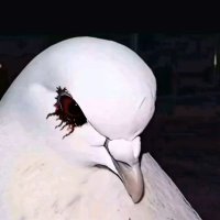 Hazel_900 (@hhazel_900) 's Twitter Profile Photo