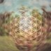 etherea (@flower_oflife_) Twitter profile photo etherea (@flower_oflife_) Twitter profile photo