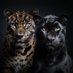 Nwar Jaguar (@jaguarnwar) Twitter profile photo Nwar Jaguar (@jaguarnwar) Twitter profile photo