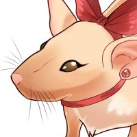 CozyCaligine (@caliginethecozy) 's Twitter Profile Photo CozyCaligine (@caliginethecozy) 's Twitter Profile Photo