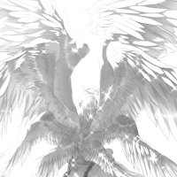 t (@angelfaag) 's Twitter Profile