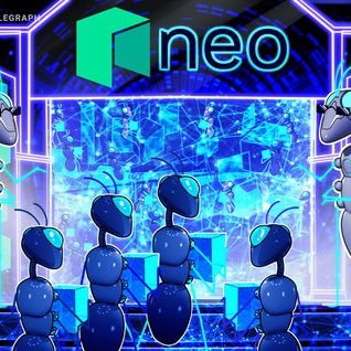 Andres1616153's profile picture. 