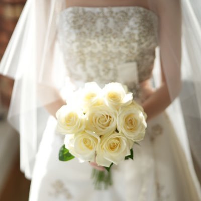 maplecharon's profile picture. かんご/こんせい/ふれあ