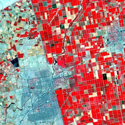 Lucy____Roche's profile picture. Aᵘsₜrᵃlₒtₕèᑫuₑ