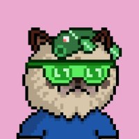 M4X BASED (@m4xbased__wp) 's Twitter Profile