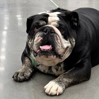 andjroo111's profile picture. 