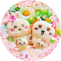 🧡🌺さや@ちいかつ🐰💛 (@chii_yahayaha) 's Twitter Profile