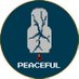 피스풀/Peaceful/ピースフル (@hp_peaceful) Twitter profile photo 피스풀/Peaceful/ピースフル (@hp_peaceful) Twitter profile photo
